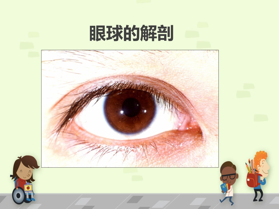 白内障 讲课_第3页