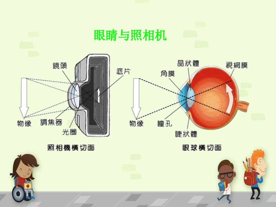 白内障 讲课_第8页