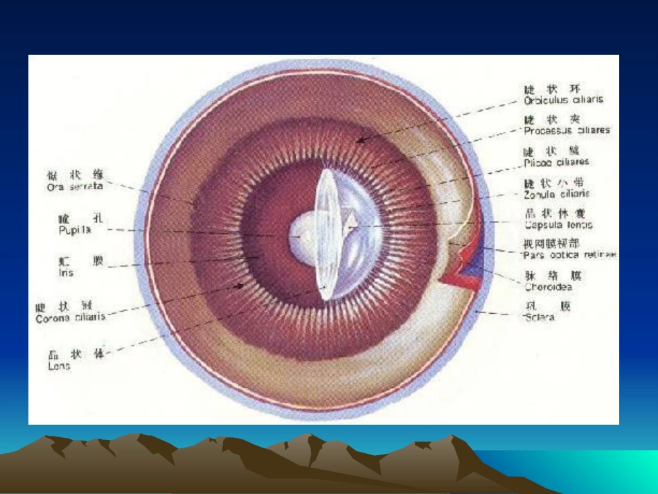 白内障课件_第3页