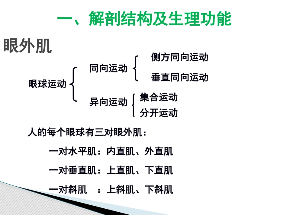 动眼滑车外展神经解剖_第3页
