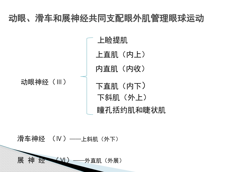 动眼滑车外展神经解剖_第6页