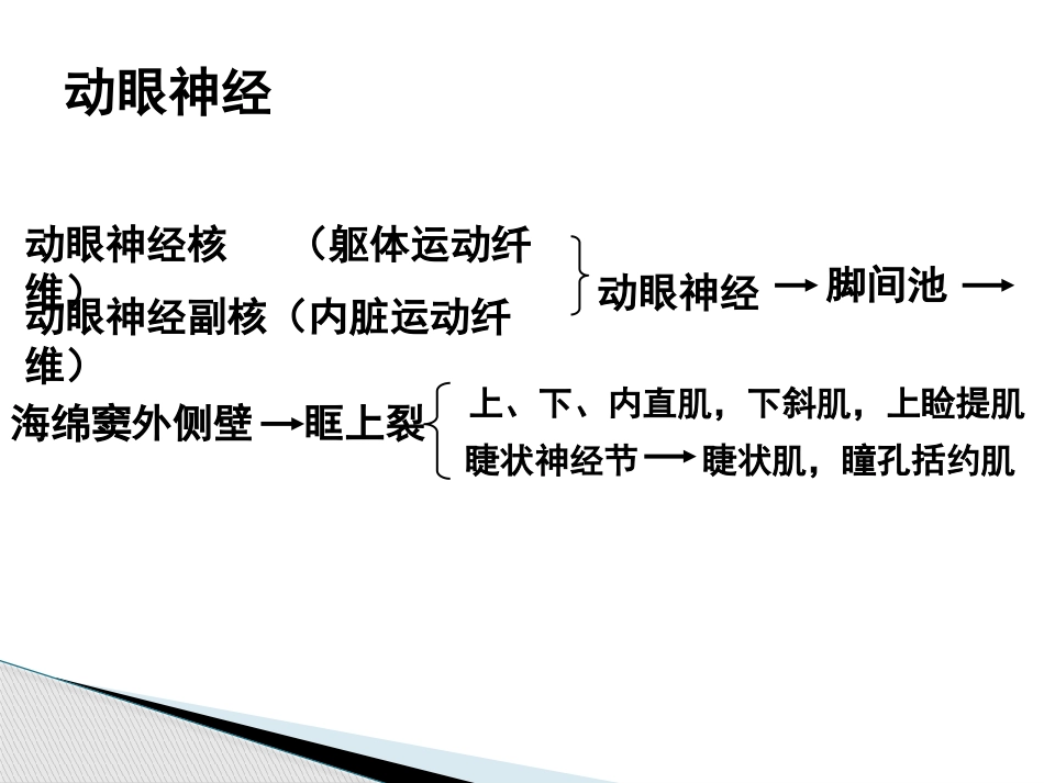 动眼滑车外展神经解剖_第8页