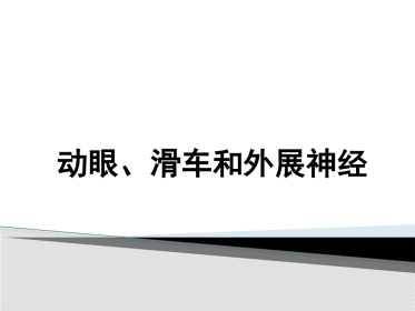动眼滑车外展神经解剖