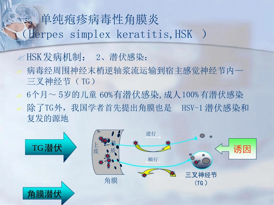 病毒性角膜炎课件_第7页
