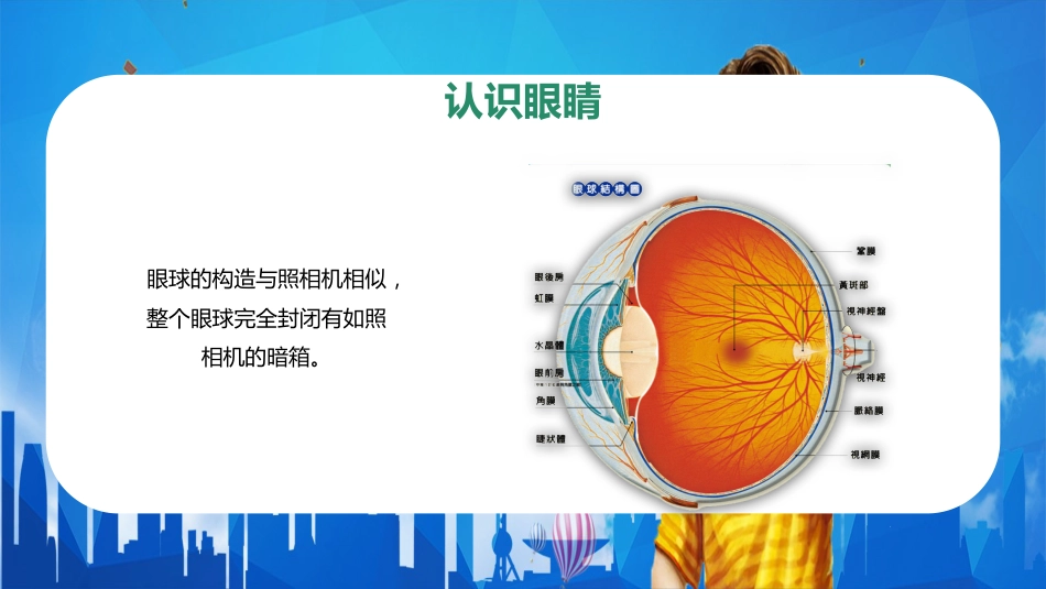 儿童卡通保护眼睛预防近视PPT_第8页