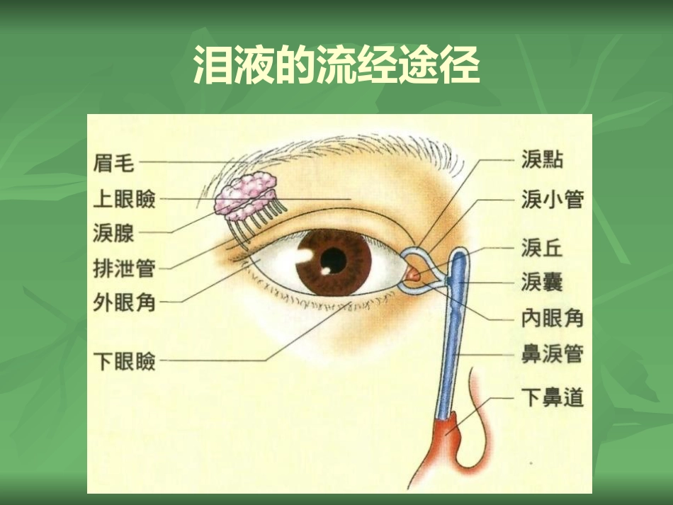 常见的眼部疾病_第10页