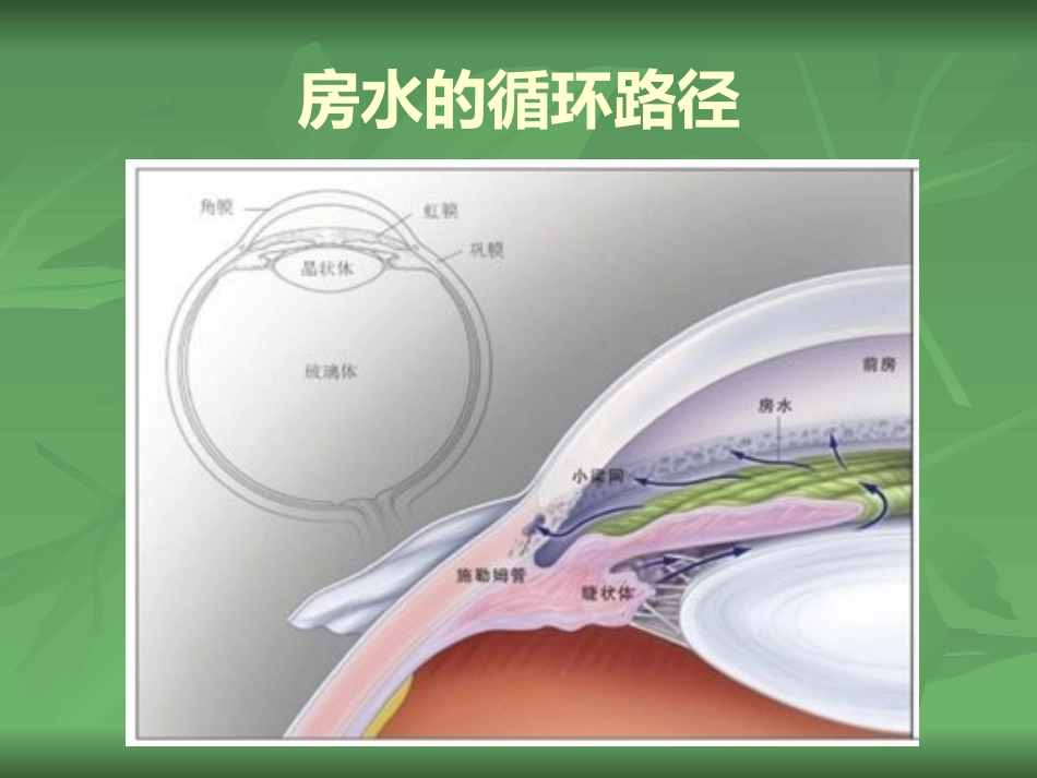常见的眼部疾病_第12页