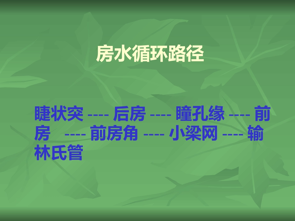常见的眼部疾病_第13页