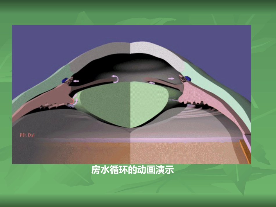 常见的眼部疾病_第14页