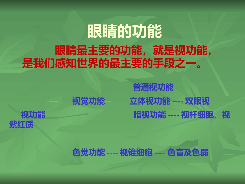 常见的眼部疾病_第3页