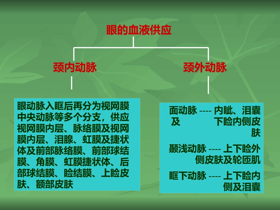 常见的眼部疾病_第5页