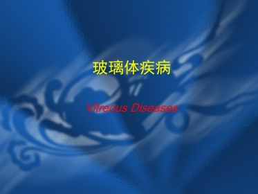 玻璃体疾病 PPT
