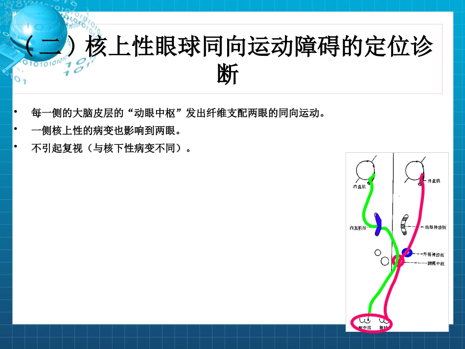 动眼,滑车和外展神经_第13页