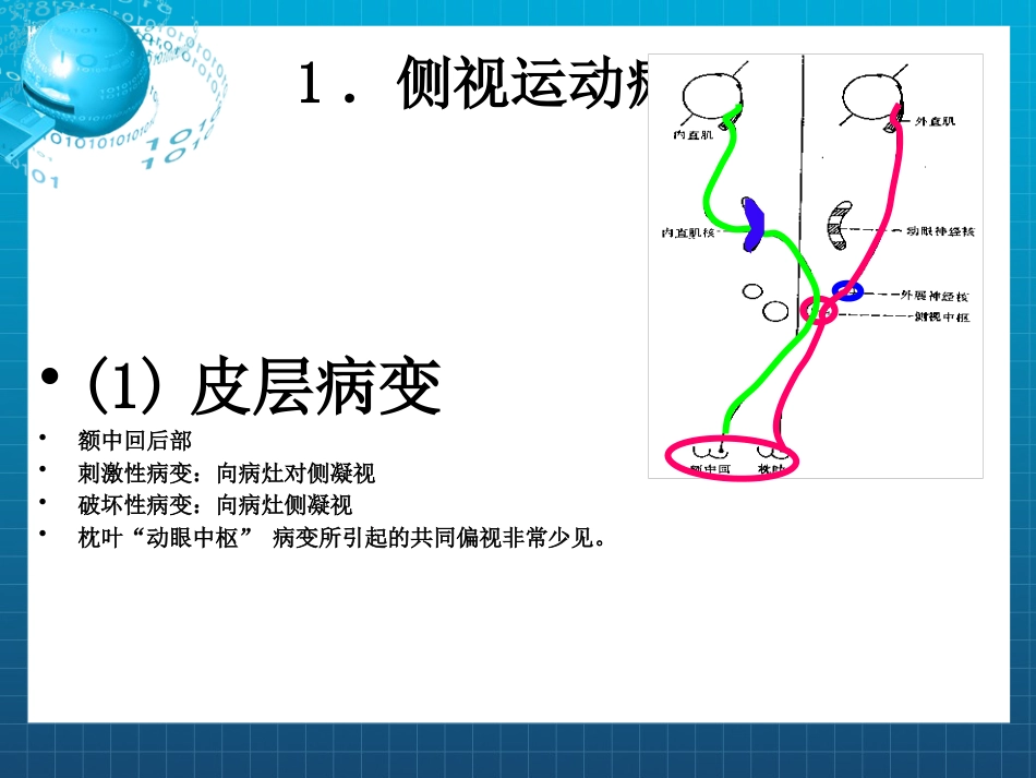 动眼,滑车和外展神经_第14页