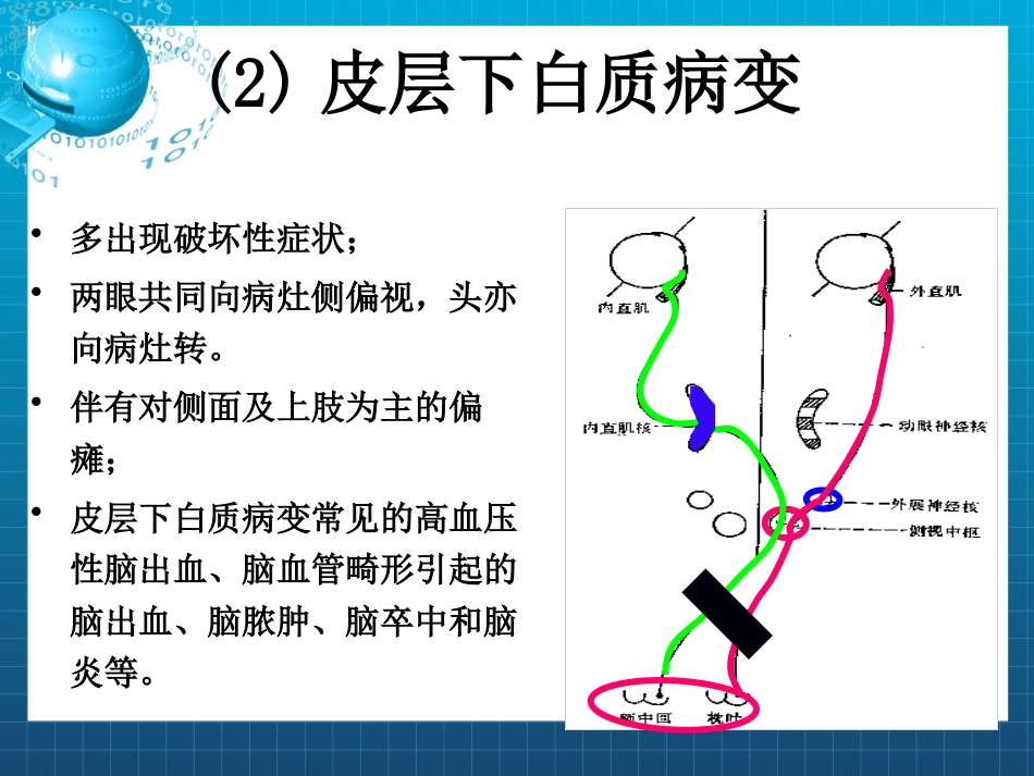 动眼,滑车和外展神经_第15页