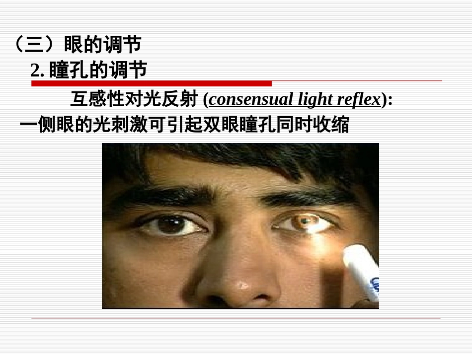《眼的视觉功能》_第10页