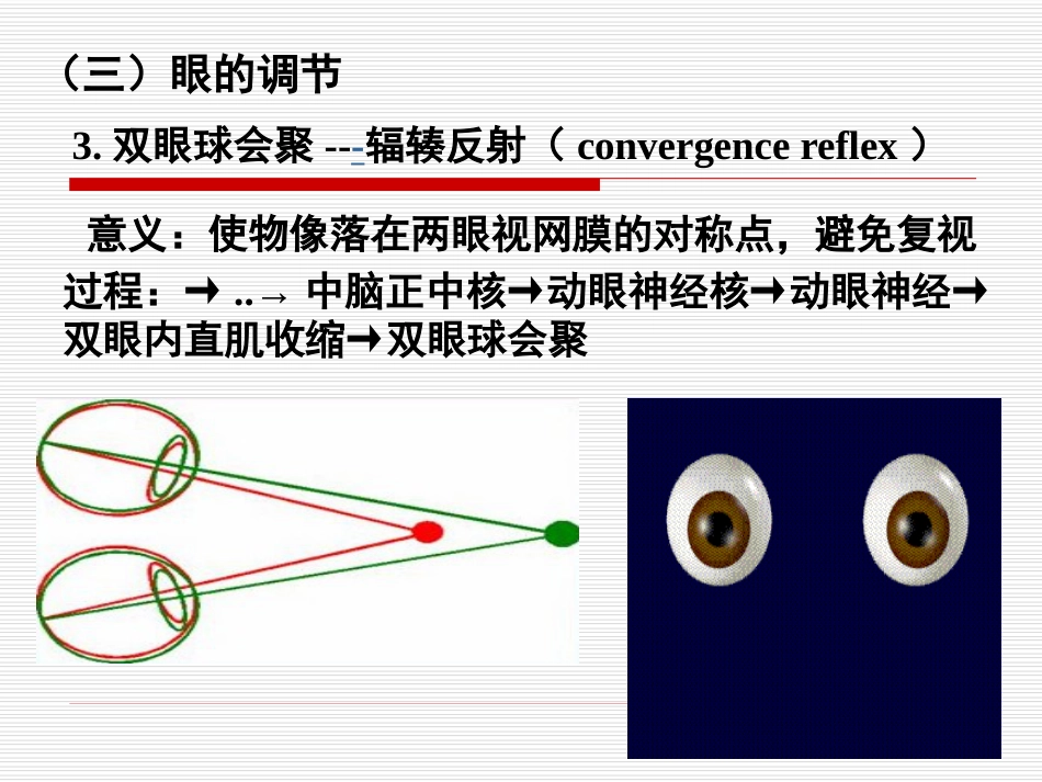 《眼的视觉功能》_第11页