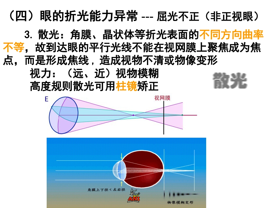 《眼的视觉功能》_第15页