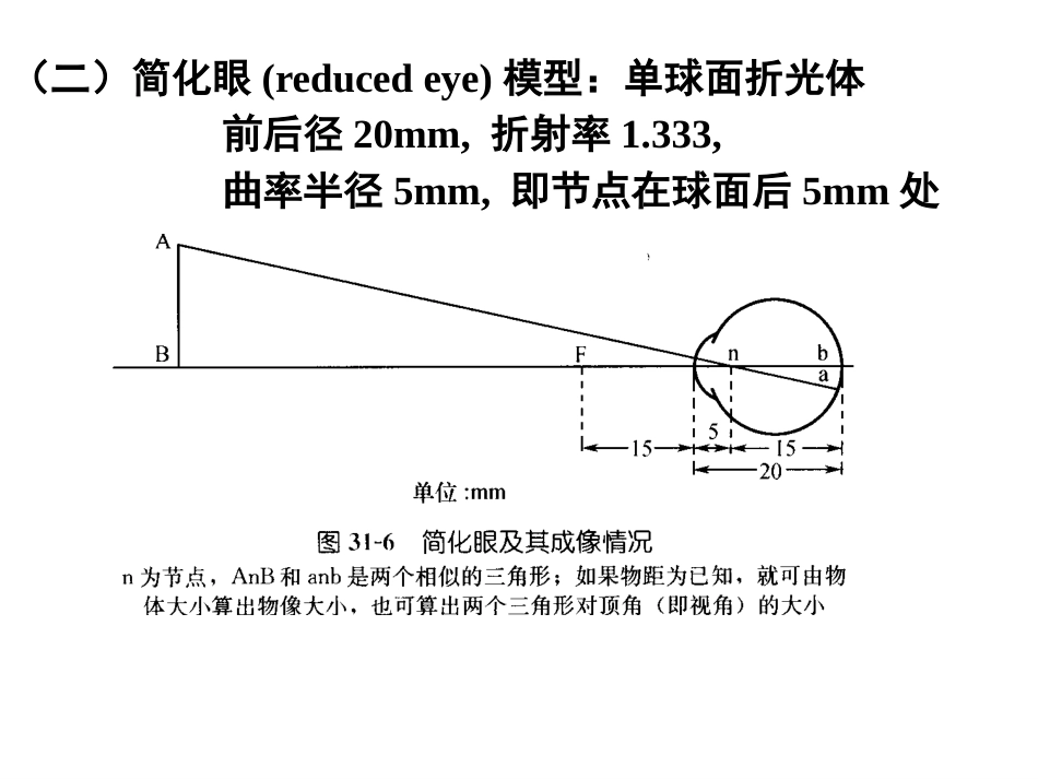 《眼的视觉功能》_第3页