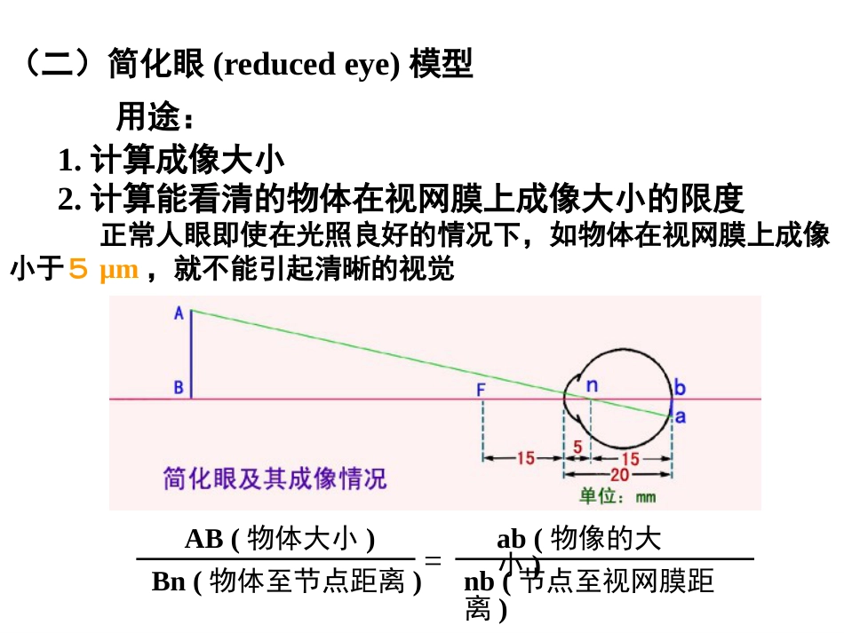 《眼的视觉功能》_第4页
