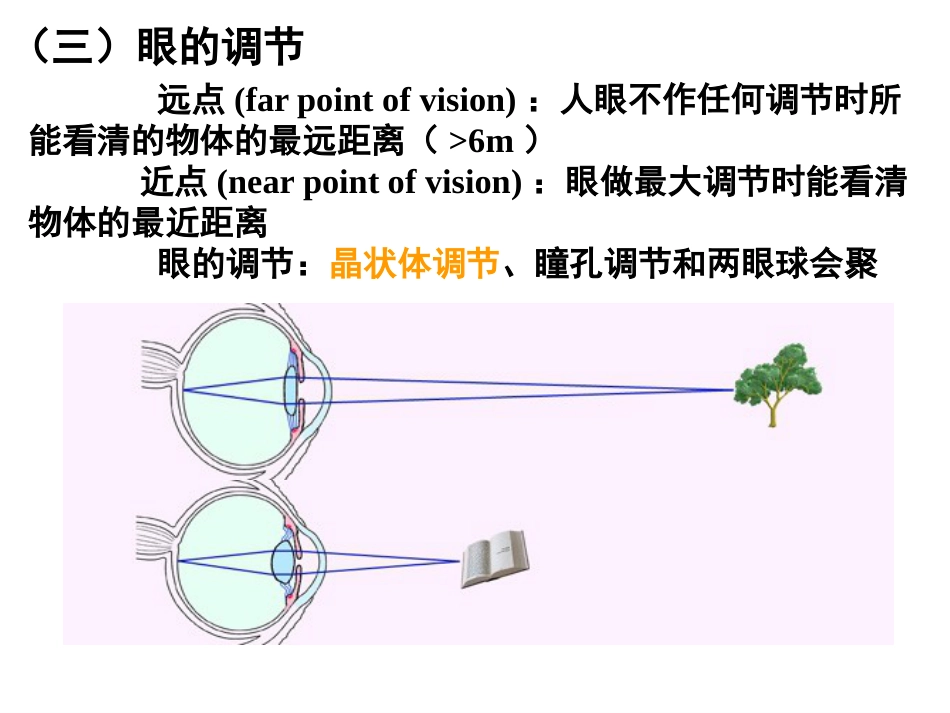 《眼的视觉功能》_第5页