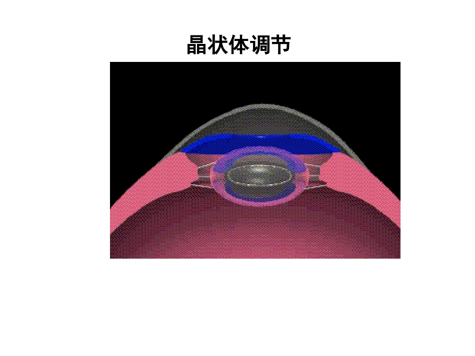 《眼的视觉功能》_第8页