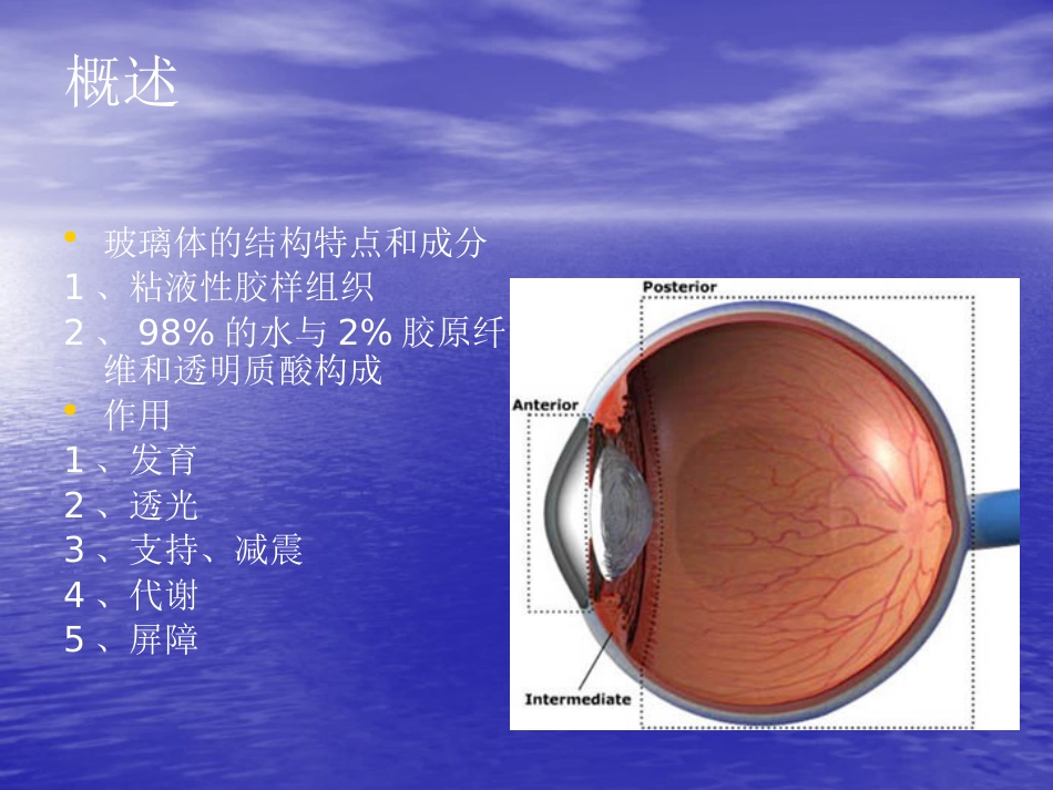 玻璃体疾病_第2页