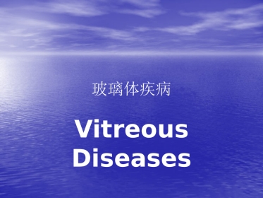 玻璃体疾病