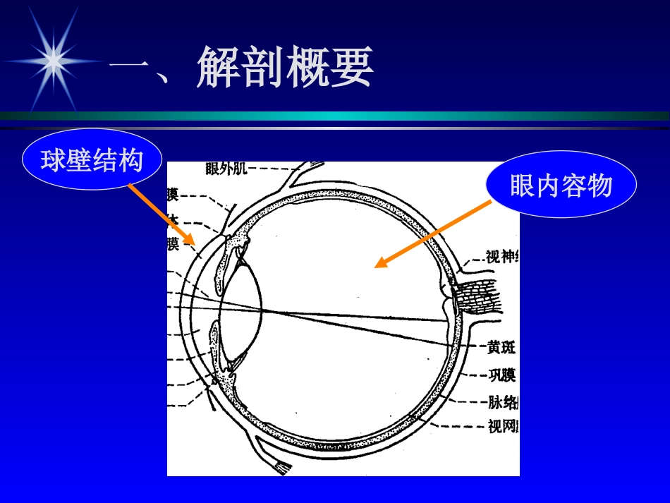 彩色超声诊断眼部疾病_第2页