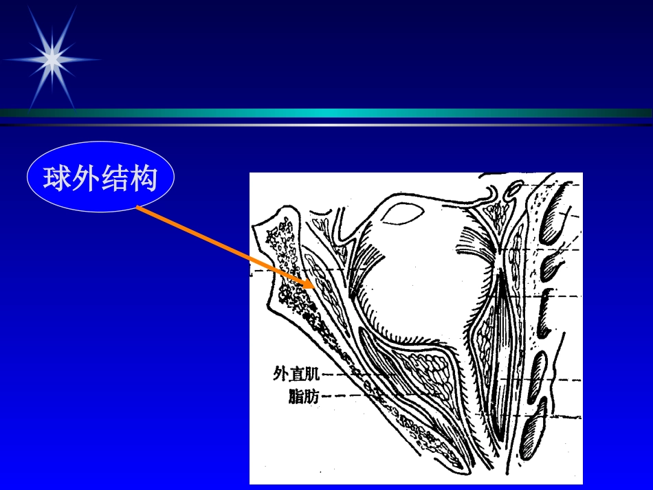 彩色超声诊断眼部疾病_第3页