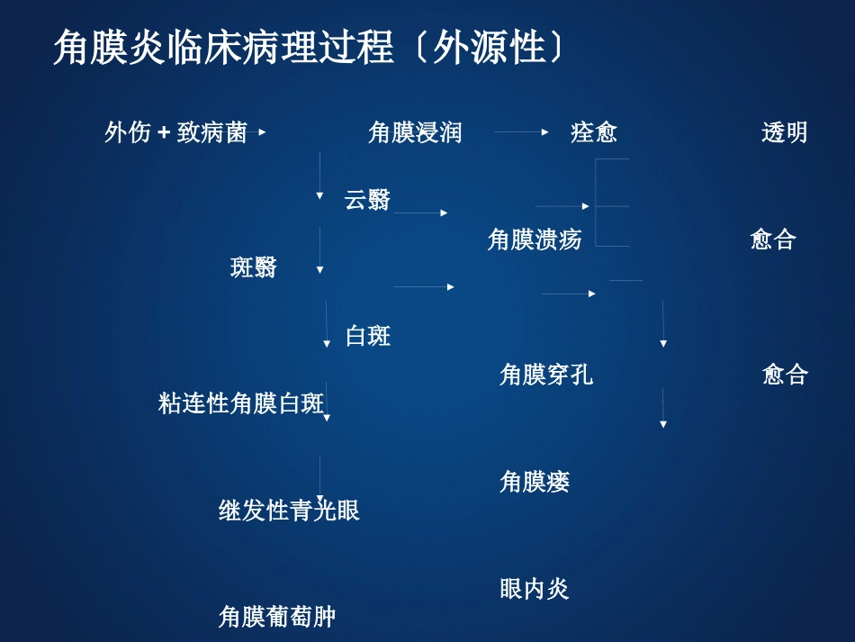 《眼科学》眼表疾病、角膜病_第12页