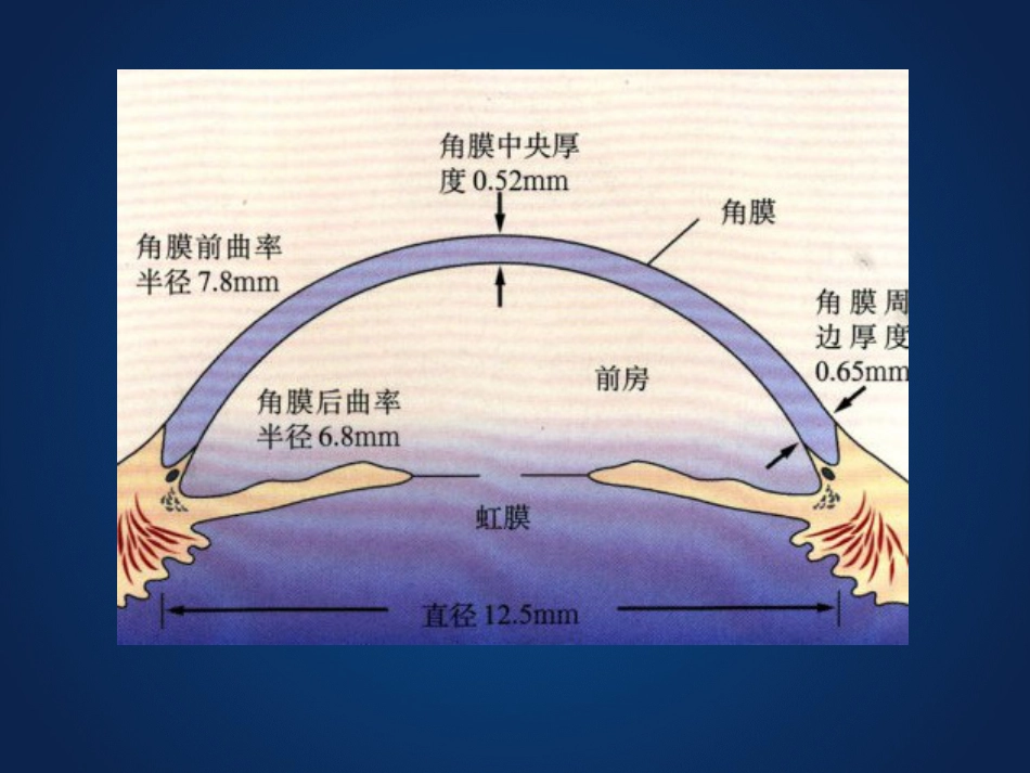 《眼科学》眼表疾病、角膜病_第5页