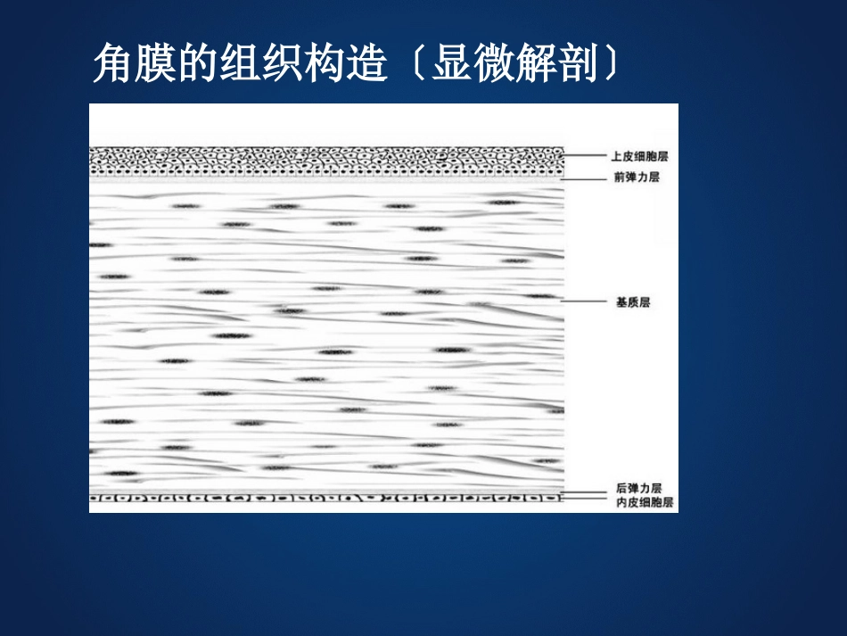 《眼科学》眼表疾病、角膜病_第6页