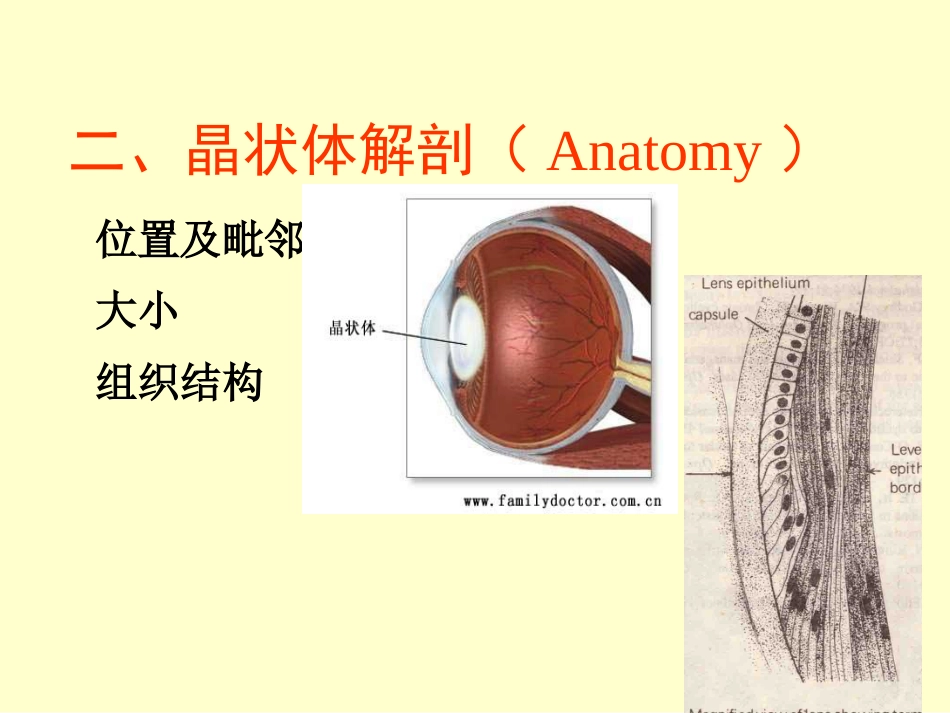 白内障晶体PPT医学课件_第3页