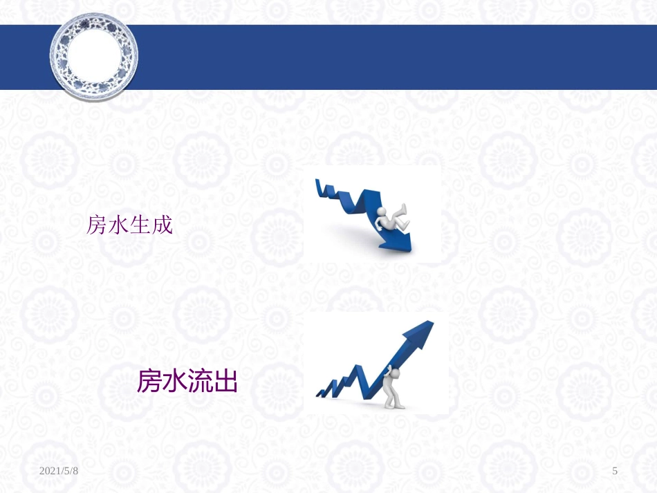 青光眼药物治疗解析_第5页