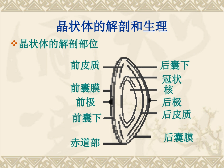 白内障的临床表现、诊断与治疗_第3页