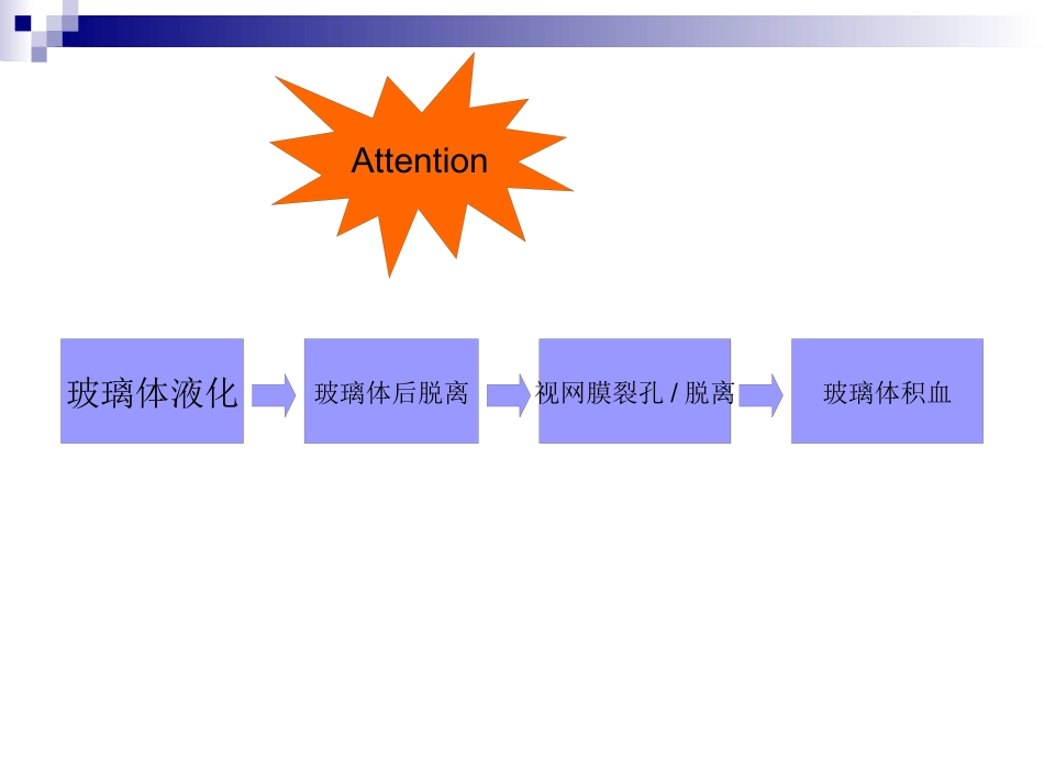 玻璃体液化及玻璃体积血_第15页