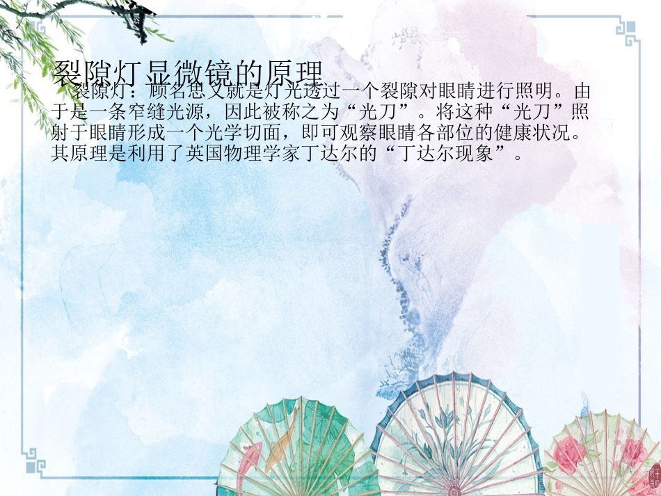 【眼视光学理论与方法】眼部健康检测与分析_第9页