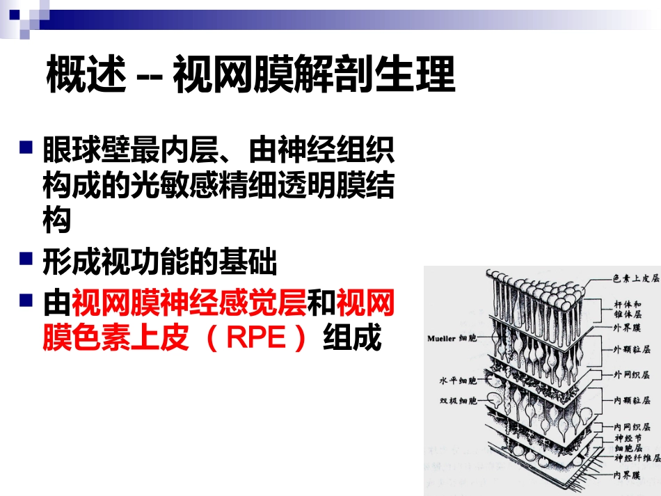 《视网膜病》_第3页