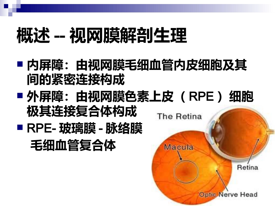 《视网膜病》_第4页