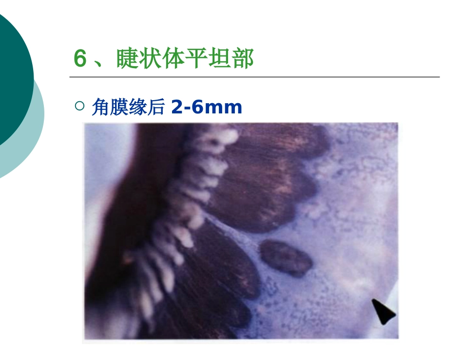 玻璃体病基础与临床_第10页