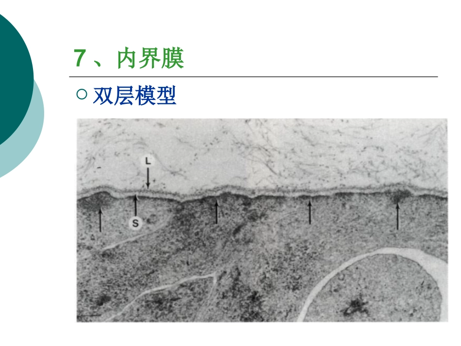 玻璃体病基础与临床_第11页