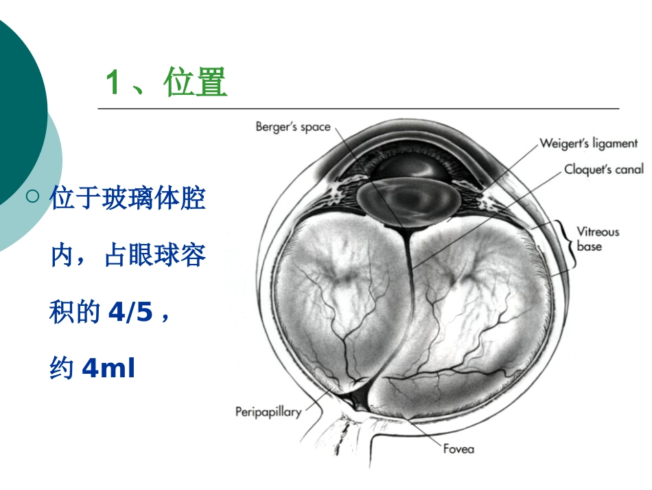玻璃体病基础与临床_第3页