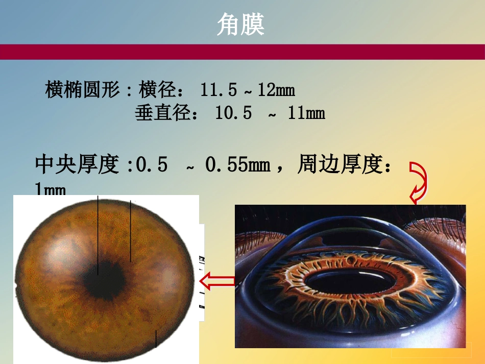 点眼药水_第10页