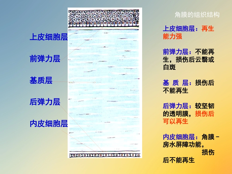 点眼药水_第12页