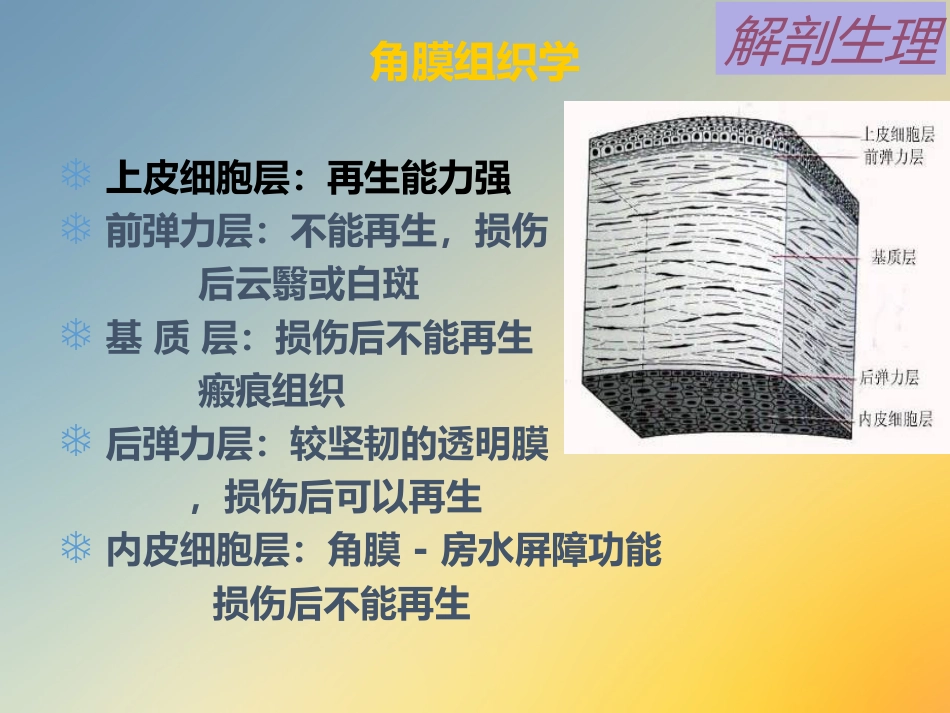 点眼药水_第13页