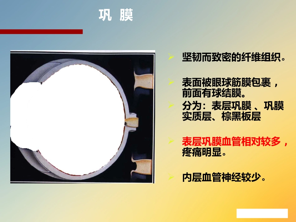 点眼药水_第14页