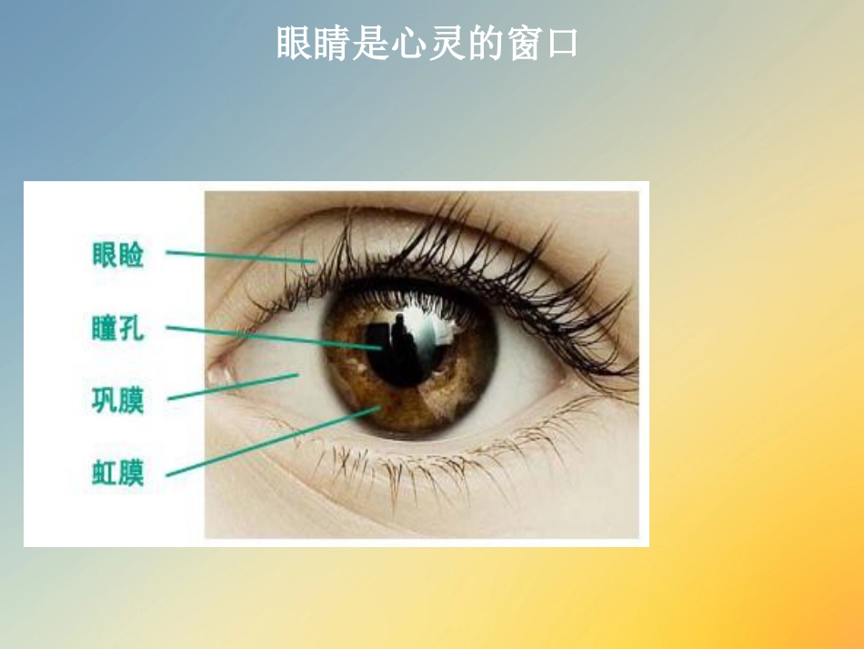 点眼药水_第2页
