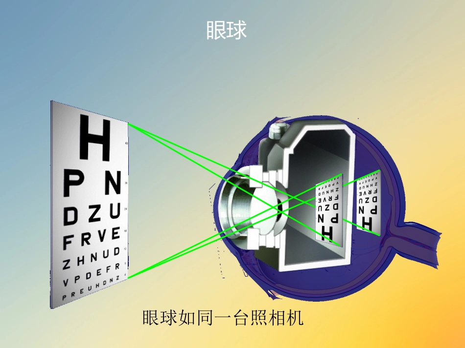 点眼药水_第4页