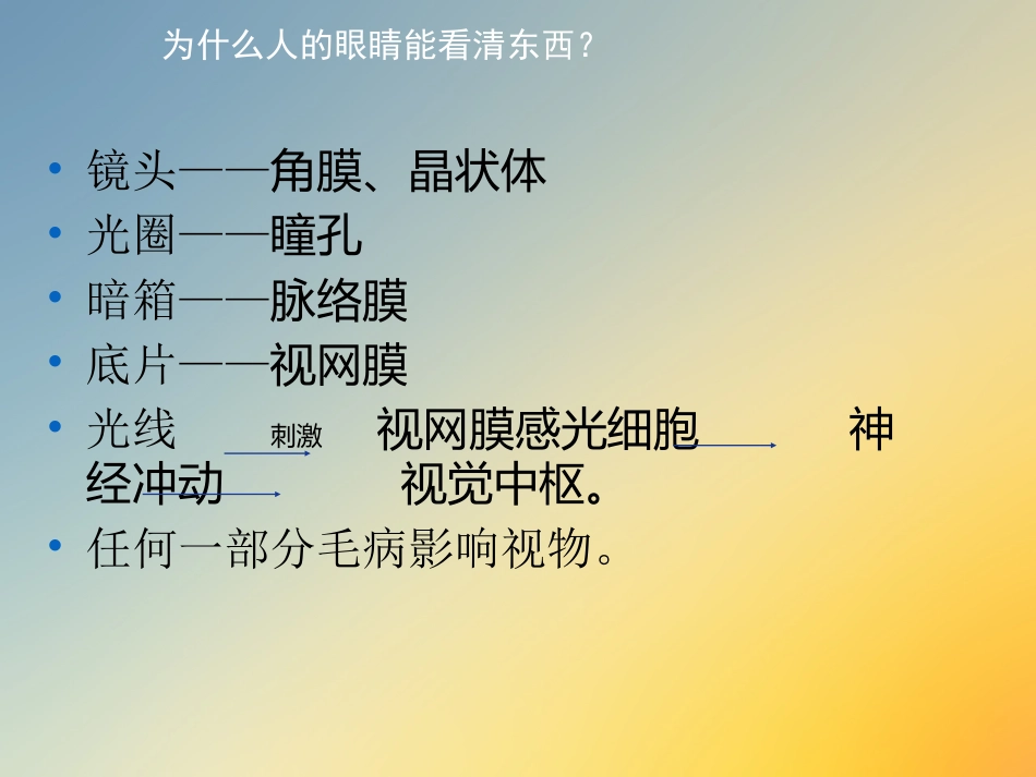 点眼药水_第5页